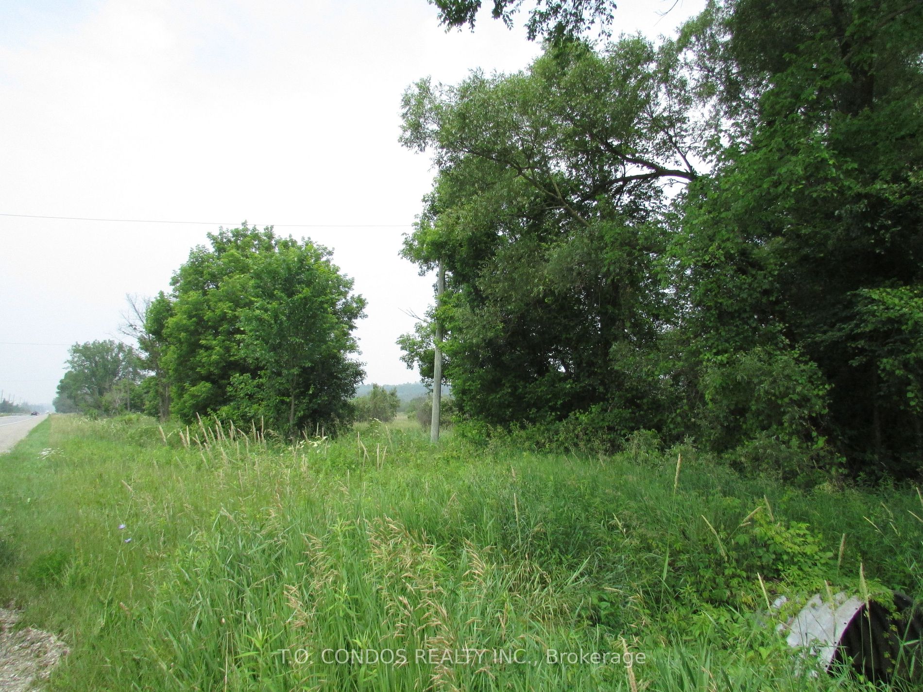 Vacant Land house for sale at 19633 Highway 48 East Gwillimbury Ontario