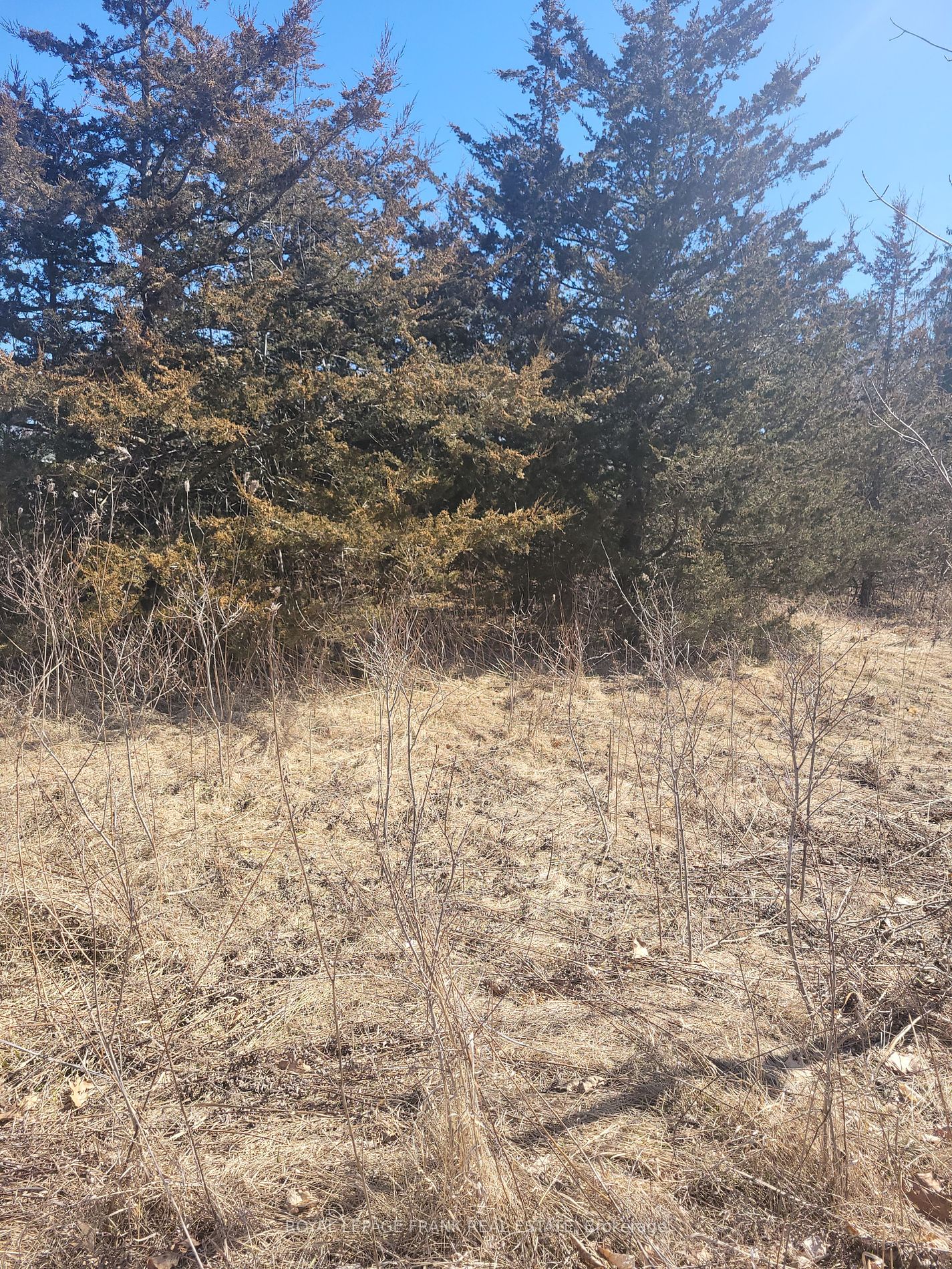 Vacant Land house for sale at 0 River Rd Trent Hills Ontario