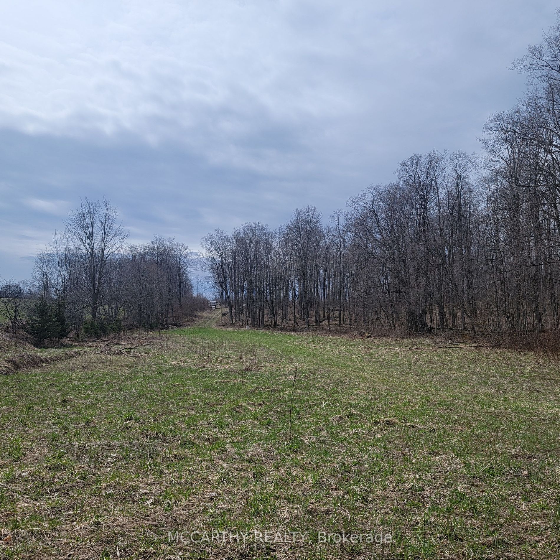 Vacant Land house for sale at 467323 12th Con B Grey Highlands Ontario